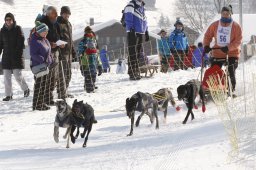 Lenk 2012 SM
